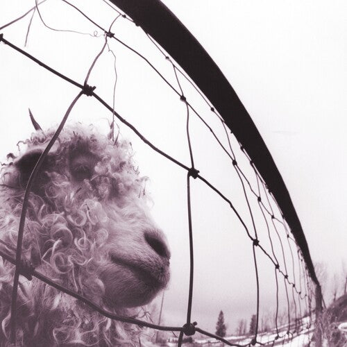 Pearl Jam Vs. (Clear Vinyl)